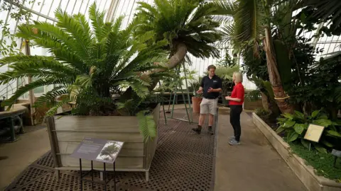 Kew Gardens’ Palm House will close for five years for major makeover