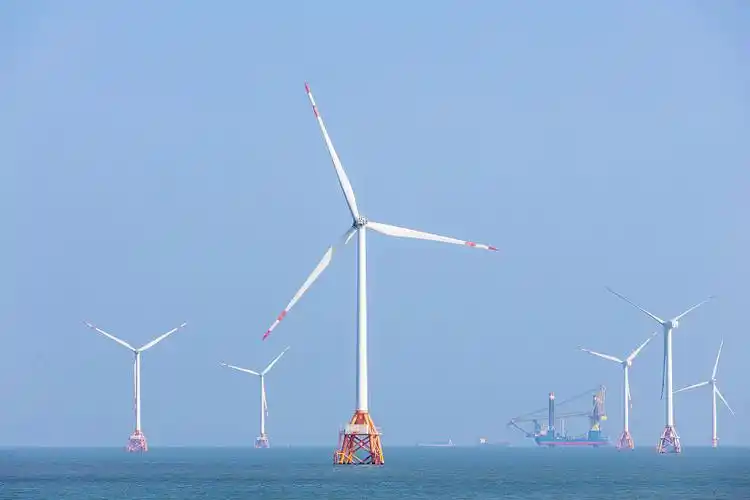 Artificial reef created at offshore wind farm