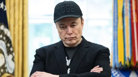 Musk’s fellowship of Royal Society in doubt after rally address
