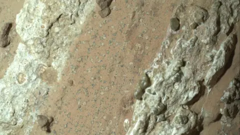 Life on Mars? ‘Leopard-spot’ rocks could be biggest clue yet
